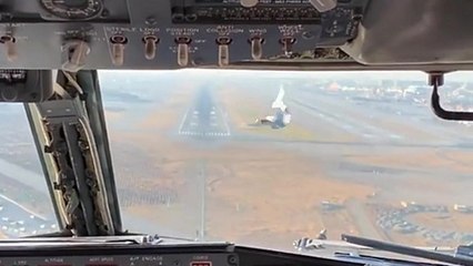 Un avion de ligne percute un oiseau au moment de l'atterrissage