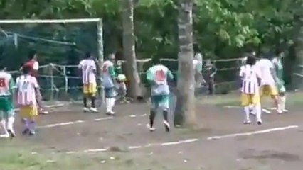 Un terrain de foot avec des arbres en plein milieu