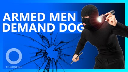Armed Men Demand Dog in Bizare Home Invasion