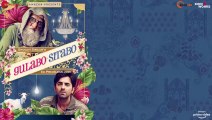 Madari ka Bandar - Gulabo Sitabo _ Amitabh Bachchan & Ayushmann Khurrana _Tochi,Anuj_Dinesh_June 12