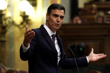 Pedro Sánchez desde el Congreso: 'Viva el 8 de marzo'