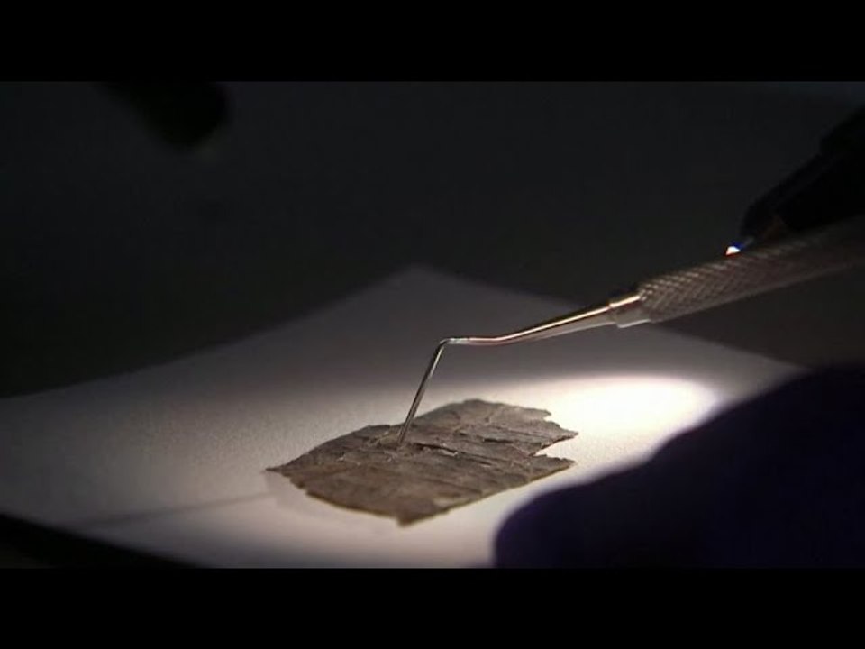 Hides that reveal: DNA helps scholars divine Dead Sea Scrolls