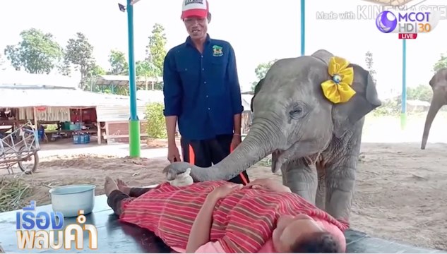 นวดกับ พังอุ้มบุญ สาวน้อย 100 โล