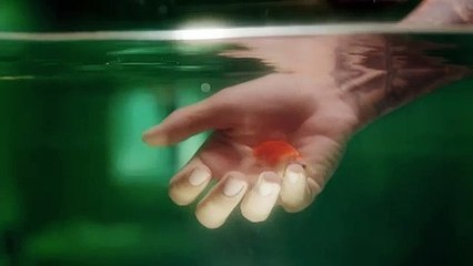 CƯỚP ĐI CẢ THẾ GIỚI - BẢO YẾN ROISE