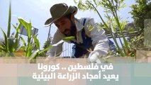 في فلسطين .. كورونا يعيد أمجاد الزراعة البيئية - قصة دنيا فلسطين