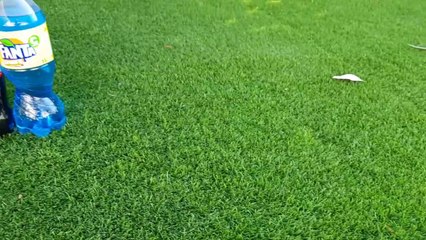 Experiment:cola lime, Pepsi,fanta,fruko, yedigun and mentos underground.