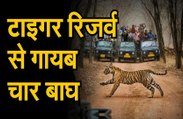 टाइगर रिजर्व से गायब चार बाघ