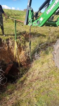 Missing Horse Found and Rescued From Deep Ditch