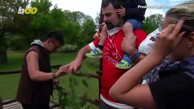 Visitors Feed Animals and the Zoo’s Bottom Line After Coronavirus Shutdown Eats Profits