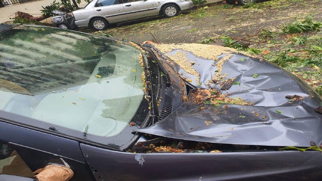 Watch how Cyclone Nisarga cause destruction in Alibag