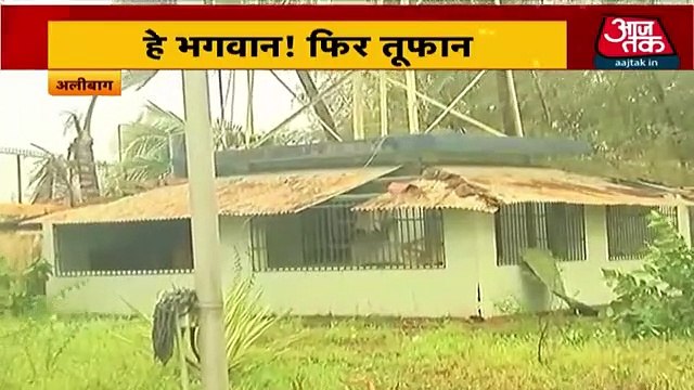 Nisarga: Trees uprooted but storm gives Mumbai a pass!