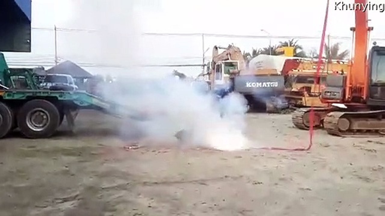 Fearless Dog Loves Firecrackers
