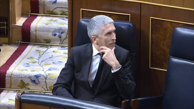 Marlaska recibe una ristra de insultos y reproches de la oposición en el Congreso