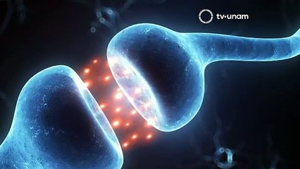 PENSADORES CONTEMPORÁNEOS  BARTOLO  LUQUE