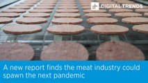A new report finds the meat industry could spawn the next pandemic.