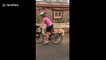 Hilarious cat in Oregon tags along a bike ride and doesn't fall off