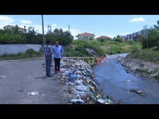 Download Video: Mbetjet urbane/ Inxhinieri për Report Tv: Lumi i Tiranës i vdekur, peshku i infektuar në Ishëm!