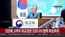강경화, 6개국 외교장관 코로나19 협력 화상회의
