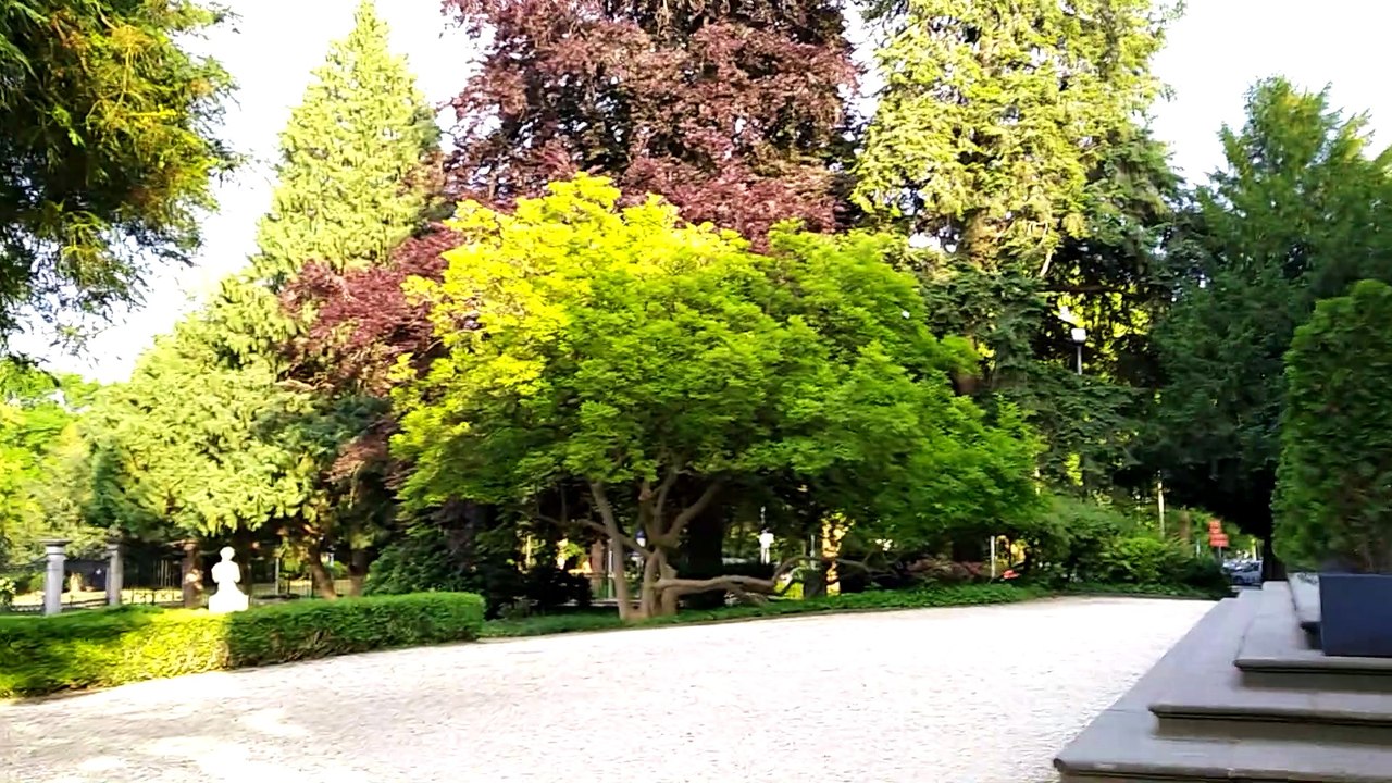 Bad Godesberg 2 2020-6-4