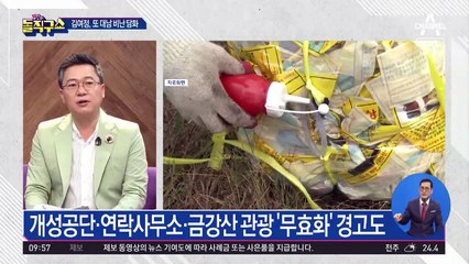 [핫플]대북전단에 발끈한 김여정 “군사합의 파기 각오”