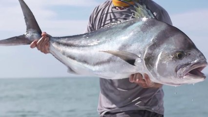 BIG Costa Rican Roosterfish in the Osa Peninsula! - Livin the Dream