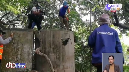 สลด! ฝูงลิงแสม 15 ตัว ตายในแท็งก์น้ำบนยอดเขาตังกวน