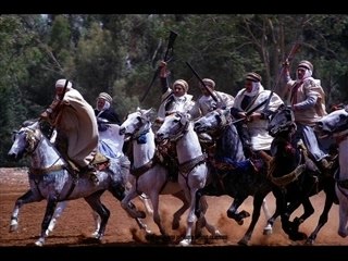 TOUHAMI TAZIA DJAZAIR