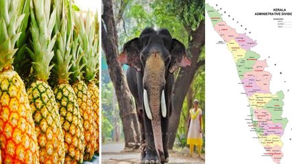 A similar incident has came to light in Kollam district