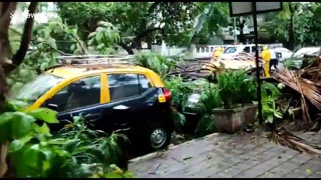 Uprooted trees and scattered branches as Cyclone Nisarga spares Mumbai