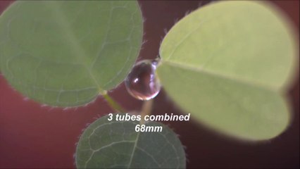 Nikon 55mm lens with macro Extension Tubes watch before you buy