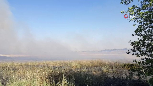 Suriye sınırındaki yangına TOMA ve itfaiye müdahale etti