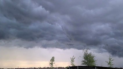 Flock Of Birds Flying In The Sky