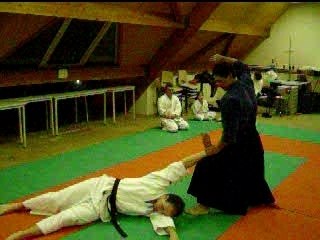 Aiki Ju Jutsu 03