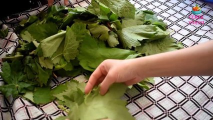 Kırk Yıl Kalsa da Bozulmayan Asma Yaprağı Salamura Tarifi