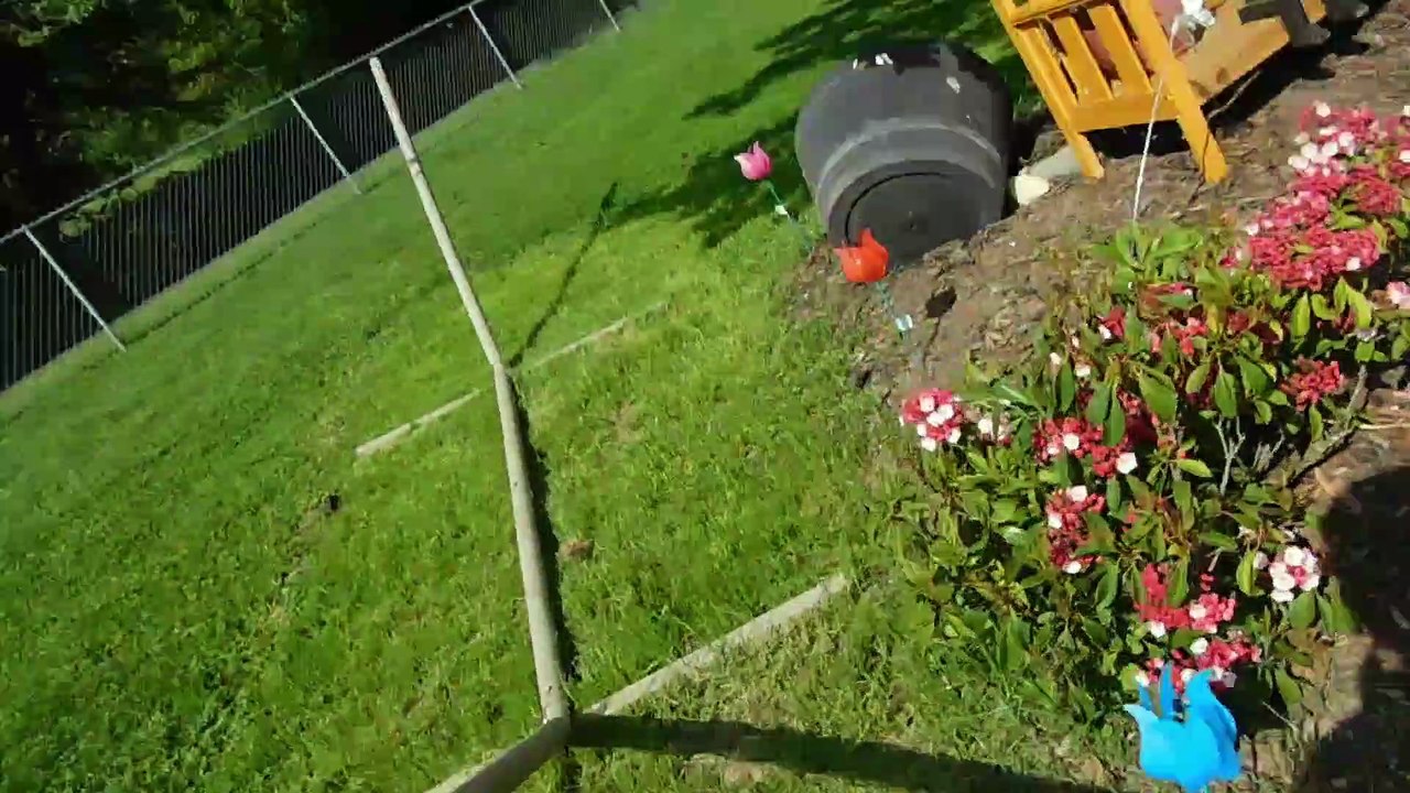 Vlog #1