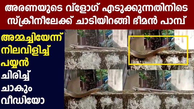 അരണയെ റിവ്യൂ ചെയ്ത ചെക്കന് കിട്ടിയ മുട്ടൻ പണി, ചിരിച്ചു ചാകും | Oneindia Malayalam