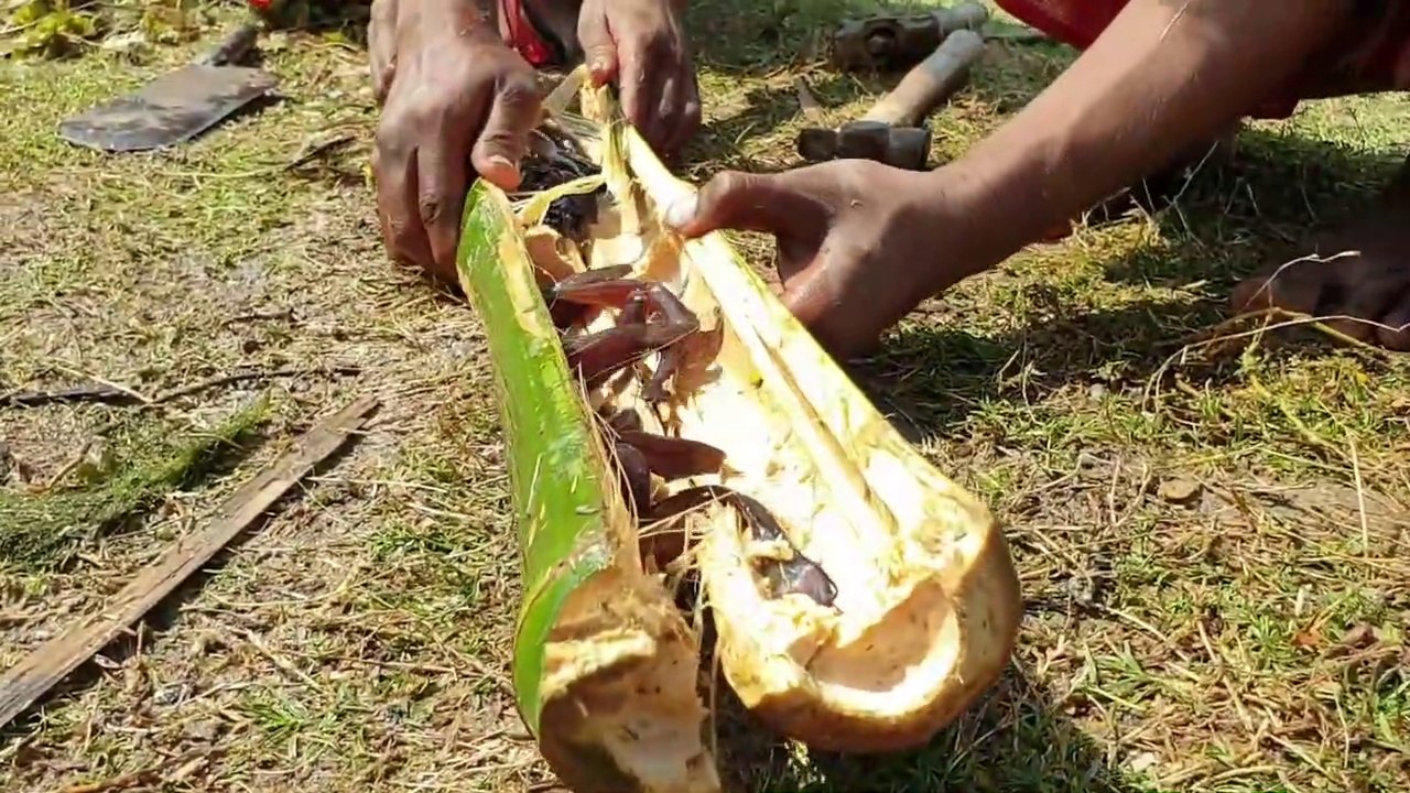 Best Bamboo Fishing Trap - Crazy Fishing Trap With Green Bamboo. Catch Singi Fish and Catfish-