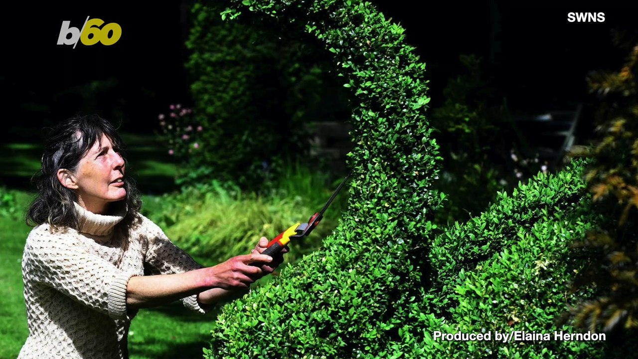 Green With Envy! This Woman’s Yard Surely Makes Her Neighbors Jealous