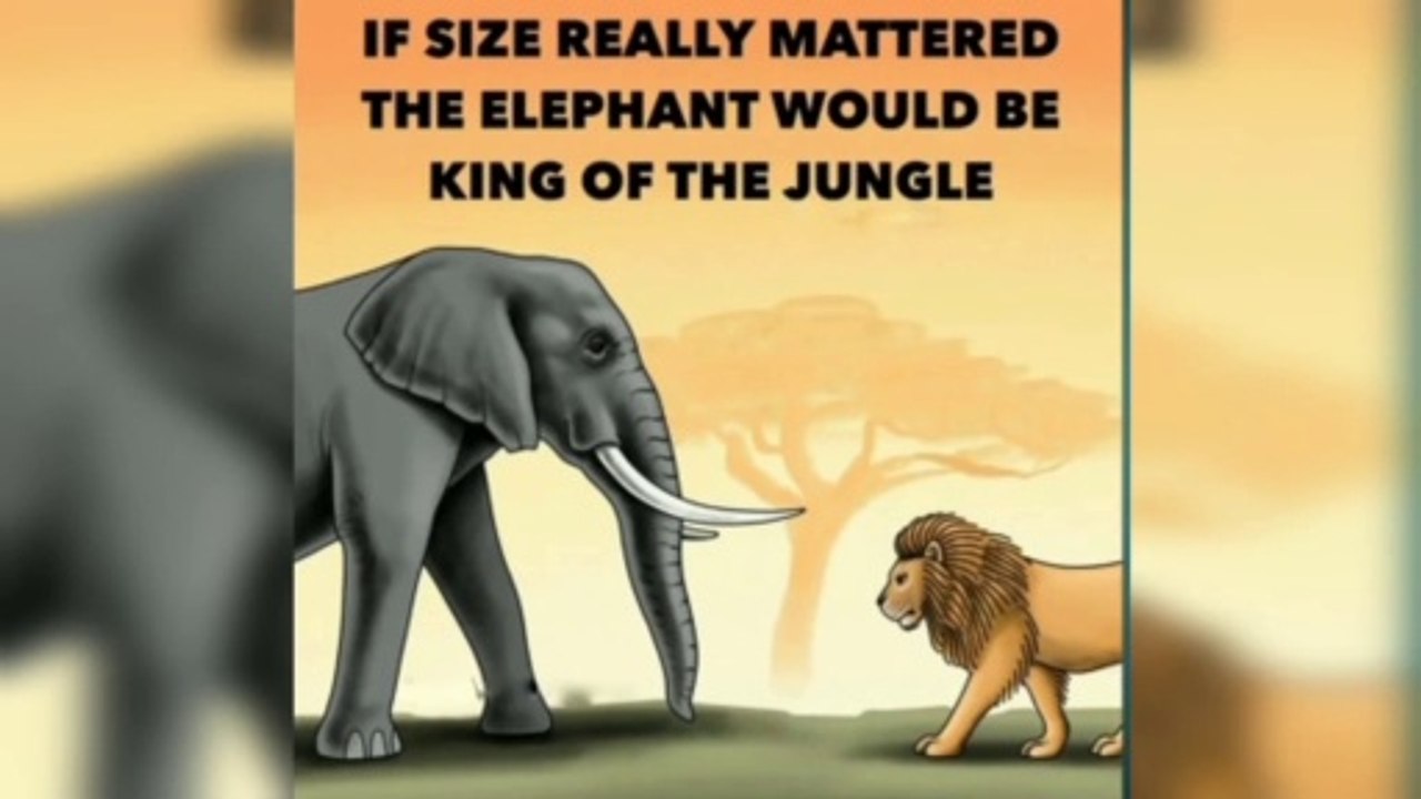 Pictures_that_says_a_lot_|Try_to_understand|_Todays_fact