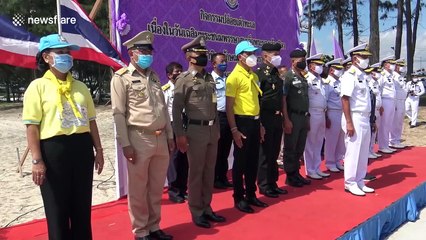 Turtles released into the sea to mark Queen of Thailand's birthday