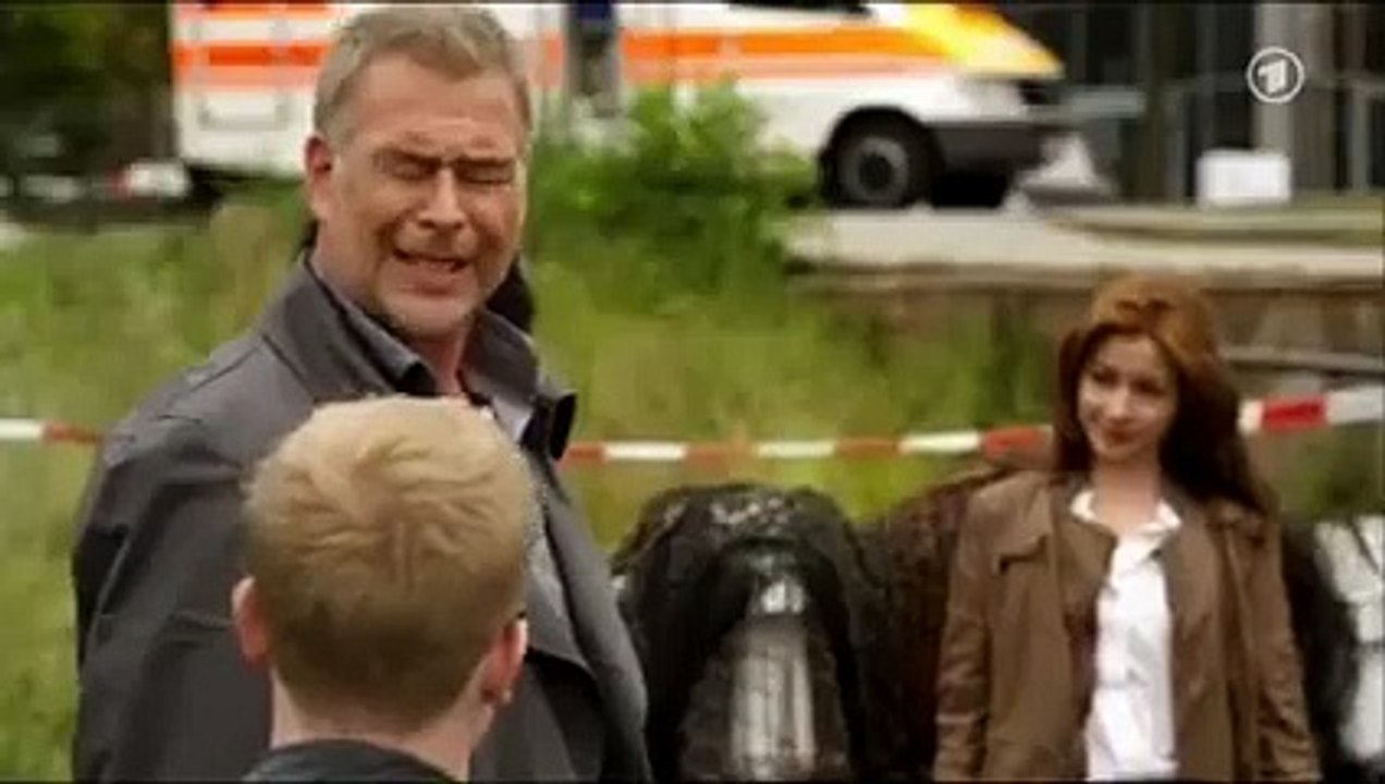 Heiter bis tödlich: Nordisch herb - Der Schimmelreiter (Staffel 1/Folge 1)