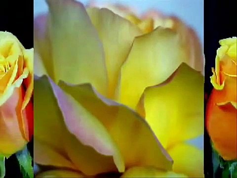 Cem Karaca Koca Mustafa Kemal'i Yedin Yine Doymadın mı