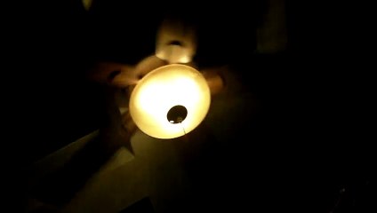 The Ballad of Shelby and Joel