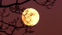 1st weekend of June kicks off with the Strawberry Moon
