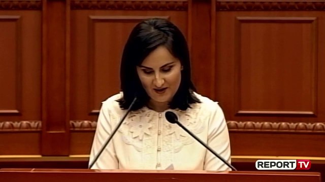 Report TV -Dhimitri 'llogari' Lleshajt: Ju vetëm 'dhunën' njihni