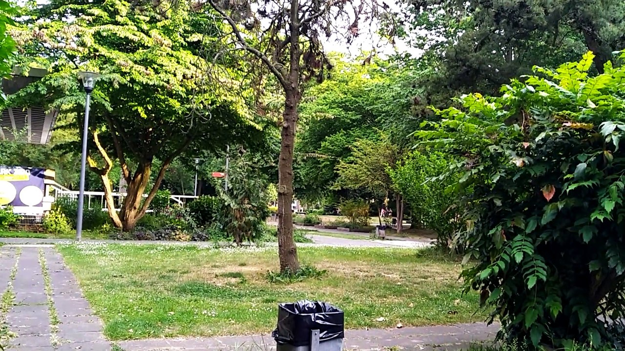 Bad Godesberg 4 2020-6-4