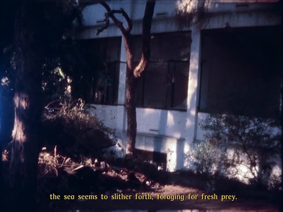 Fragments d'une côte