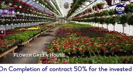 தேயிலை துறையில் கைநிறைய சம்பாதிக்க வாய்ப்பு.. நிலையான வருமான தரும் ஸ்பைஸ் இந்தியா நிறுவனம்!