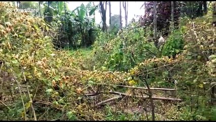 Oil well in northeast India still leaking gas one week after blowout