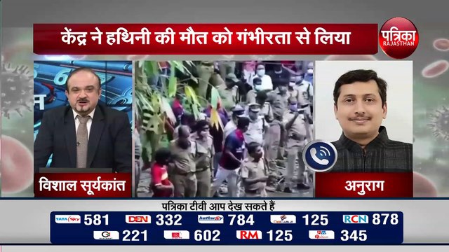 हथिनी की मौत का मामला पकड़ रहा तूल, केंद्र ने हथिनी की मौत को गंभीरता से लिया
